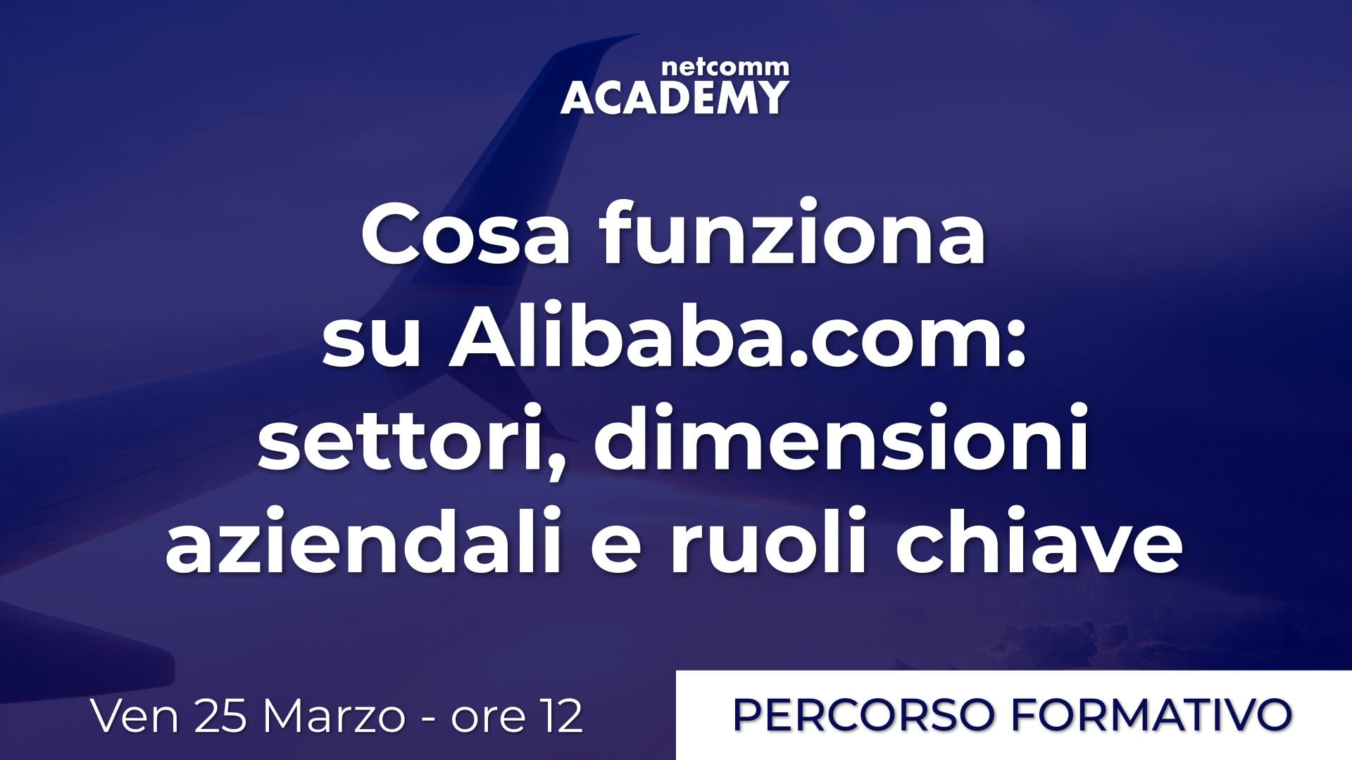 Scopri di più sull'articolo Cosa funziona su Alibaba.com: Settori, Dimensioni Aziendali e Ruoli Chiave